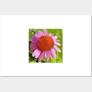 Echinacea, pink flower, green leaves, photography digitally modified Posters and Art